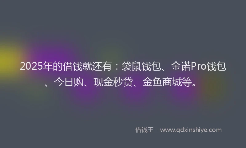 2025年的借钱就还有：袋鼠钱包、金诺Pro钱包、今日购、现金秒贷、金鱼商城等。