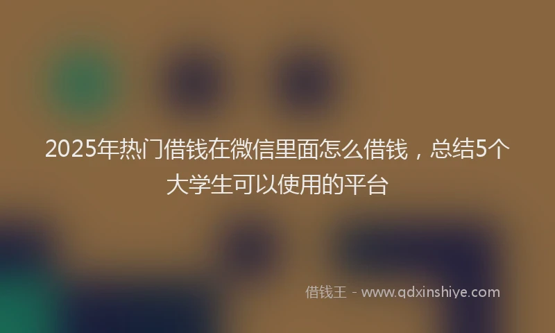 2025年热门借钱在微信里面怎么借钱，总结5个大学生可以使用的平台