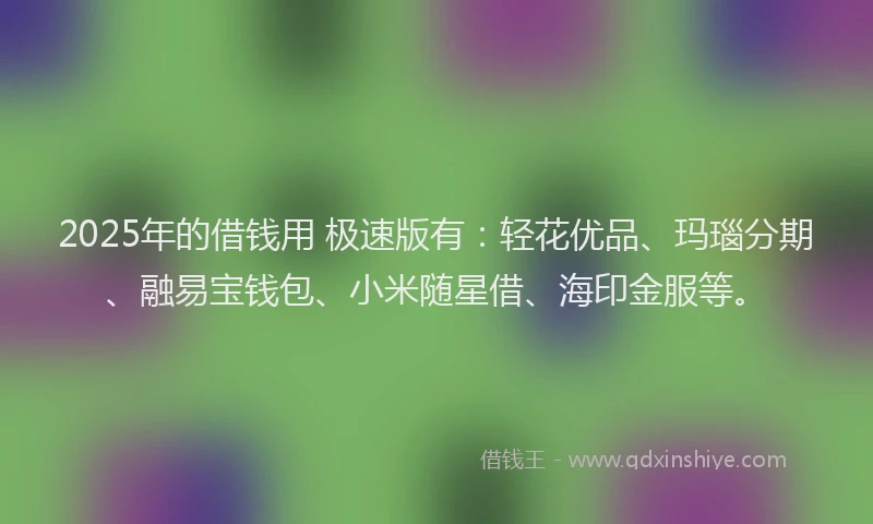 2025年的借钱用 极速版有：轻花优品、玛瑙分期、融易宝钱包、小米随星借、海印金服等。