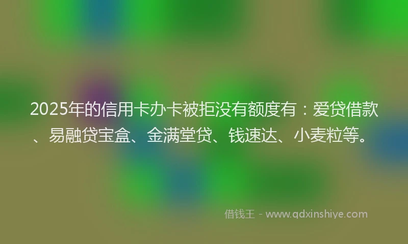 2025年的信用卡办卡被拒没有额度有：爱贷借款、易融贷宝盒、金满堂贷、钱速达、小麦粒等。