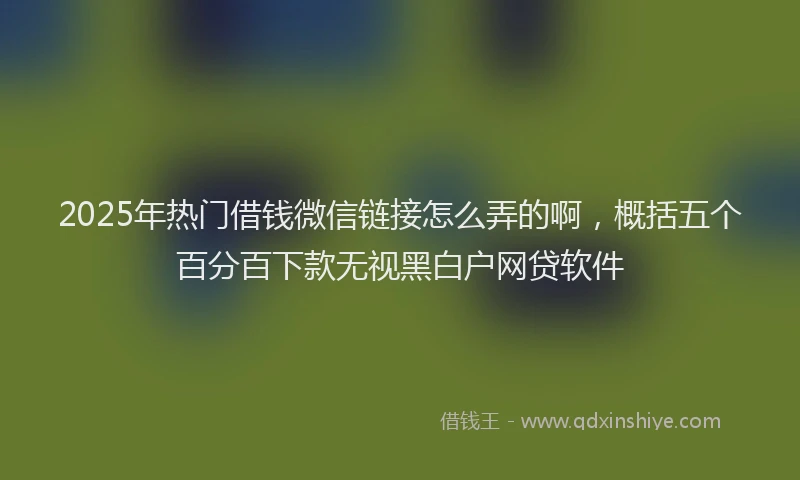 2025年热门借钱微信链接怎么弄的啊，概括五个百分百下款无视黑白户网贷软件
