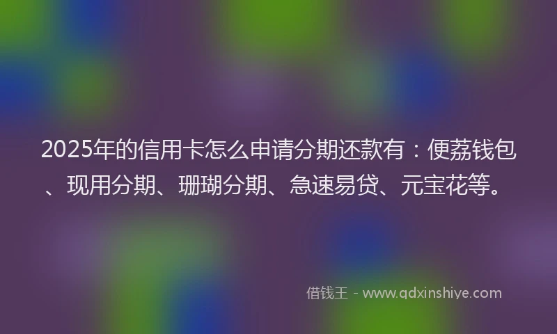 2025年的信用卡怎么申请分期还款有：便荔钱包、现用分期、珊瑚分期、急速易贷、元宝花等。