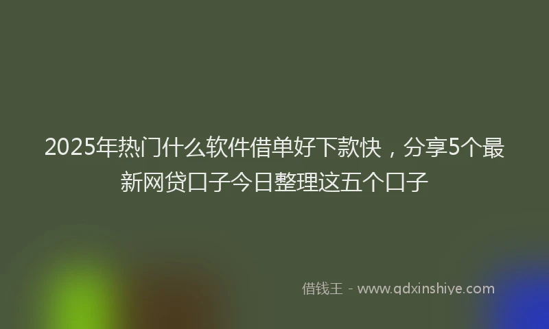 2025年热门什么软件借单好下款快，分享5个最新网贷口子今日整理这五个口子