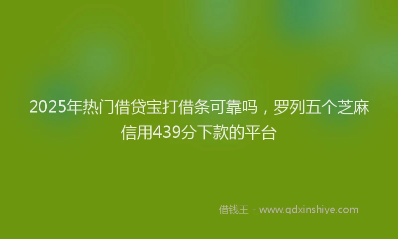 2025年热门借贷宝打借条可靠吗，罗列五个芝麻信用439分下款的平台