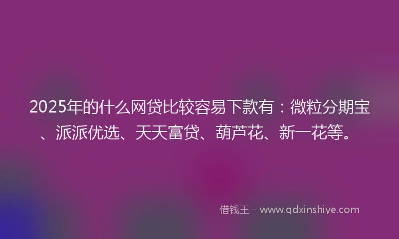 2025年的什么网贷比较容易下款有：微粒分期宝、派派优选、天天富贷、葫芦花、新一花等。