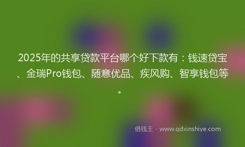 2025年的共享贷款平台哪个好下款有：钱速贷宝、金瑞Pro钱包、随意优品、疾风购、智享钱包等。