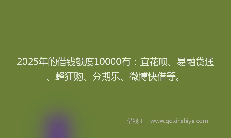 2025年的借钱额度10000有：宜花呗、易融贷通、蜂狂购、分期乐、微博快借等。
