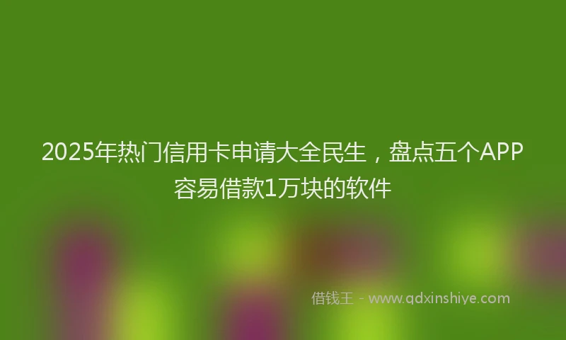 2025年热门信用卡申请大全民生，盘点五个APP容易借款1万块的软件