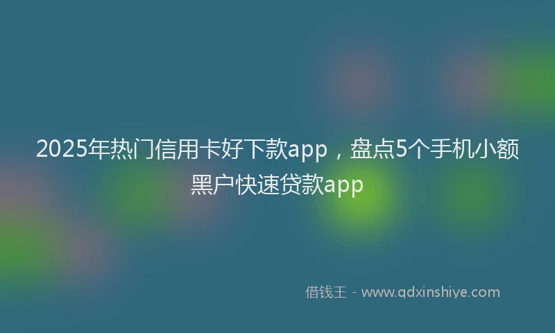 2025年热门信用卡好下款app，盘点5个手机小额黑户快速贷款app