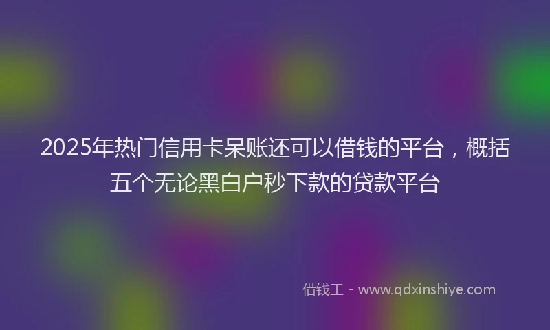 2025年热门信用卡呆账还可以借钱的平台，概括五个无论黑白户秒下款的贷款平台
