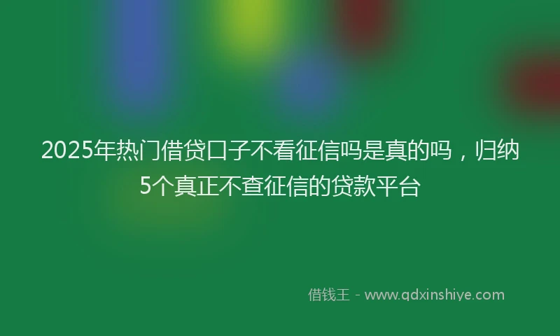 2025年热门借贷口子不看征信吗是真的吗，归纳5个真正不查征信的贷款平台