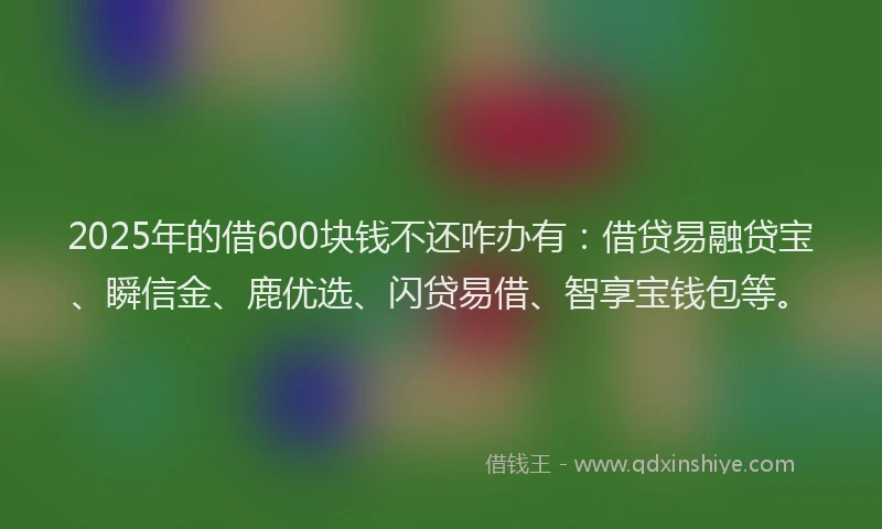 2025年的借600块钱不还咋办有：借贷易融贷宝、瞬信金、鹿优选、闪贷易借、智享宝钱包等。