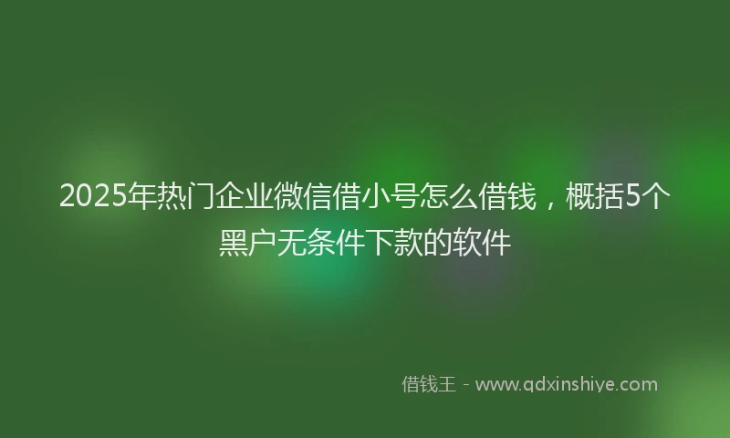 2025年热门企业微信借小号怎么借钱，概括5个黑户无条件下款的软件