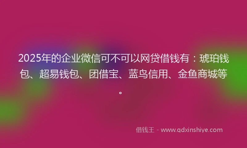 2025年的企业微信可不可以网贷借钱有：琥珀钱包、超易钱包、团借宝、蓝鸟信用、金鱼商城等。