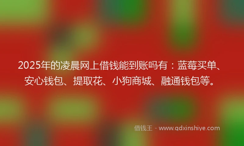 2025年的凌晨网上借钱能到账吗有：蓝莓买单、安心钱包、提取花、小狗商城、融通钱包等。