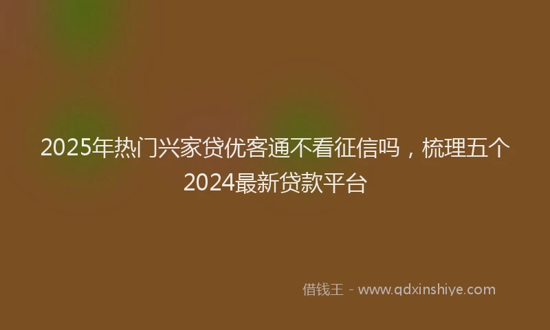 2025年热门兴家贷优客通不看征信吗，梳理五个2024最新贷款平台