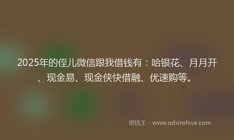 2025年的侄儿微信跟我借钱有：哈银花、月月开、现金易、现金侠快借融、优速购等。