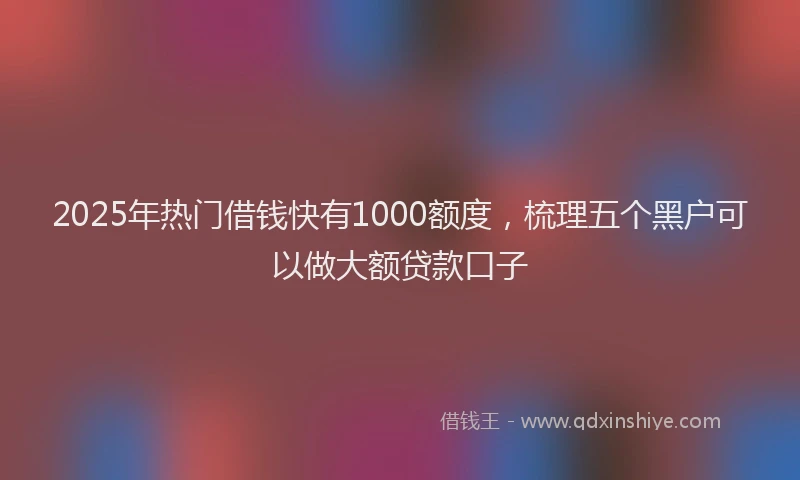 2025年热门借钱快有1000额度，梳理五个黑户可以做大额贷款口子