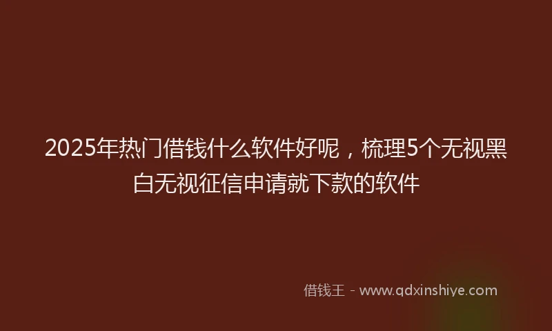 2025年热门借钱什么软件好呢，梳理5个无视黑白无视征信申请就下款的软件