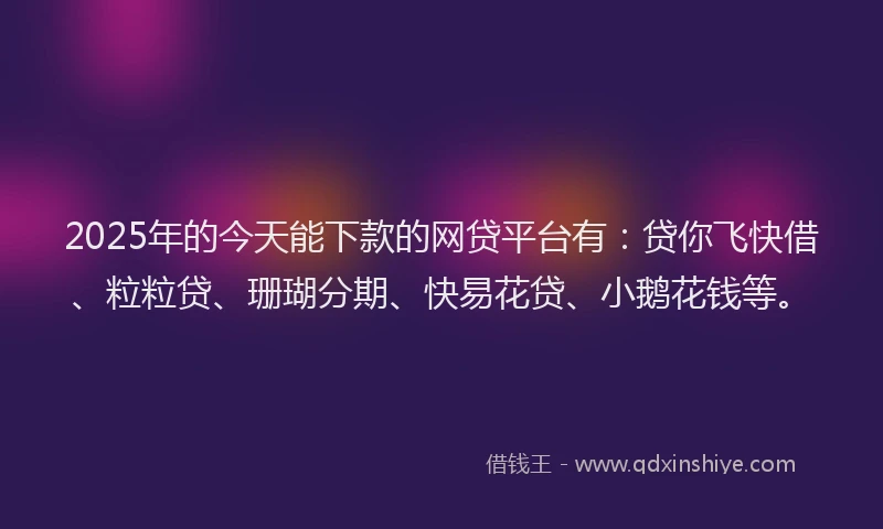 2025年的今天能下款的网贷平台有：贷你飞快借、粒粒贷、珊瑚分期、快易花贷、小鹅花钱等。