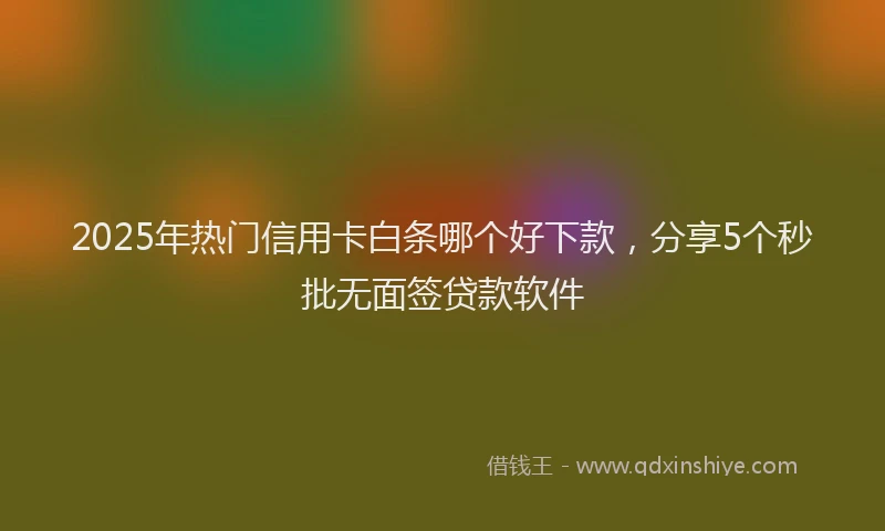 2025年热门信用卡白条哪个好下款，分享5个秒批无面签贷款软件