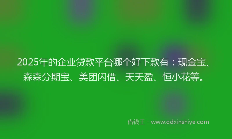 2025年的企业贷款平台哪个好下款有：现金宝、森森分期宝、美团闪借、天天盈、恒小花等。