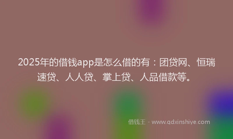 2025年的借钱app是怎么借的有：团贷网、恒瑞速贷、人人贷、掌上贷、人品借款等。