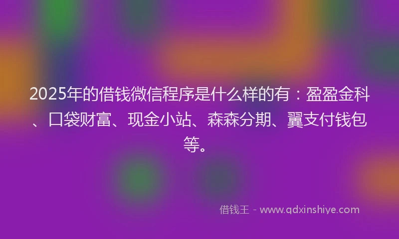 2025年的借钱微信程序是什么样的有：盈盈金科、口袋财富、现金小站、森森分期、翼支付钱包等。