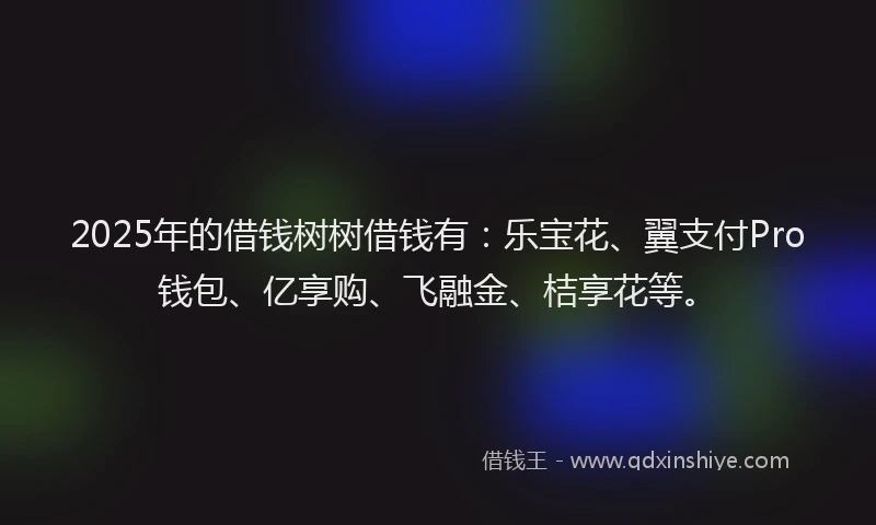 2025年的借钱树树借钱有：乐宝花、翼支付Pro钱包、亿享购、飞融金、桔享花等。