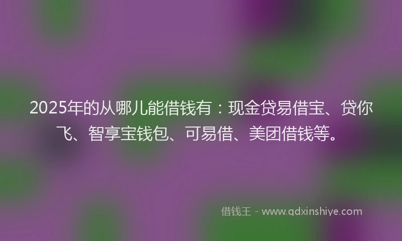2025年的从哪儿能借钱有：现金贷易借宝、贷你飞、智享宝钱包、可易借、美团借钱等。