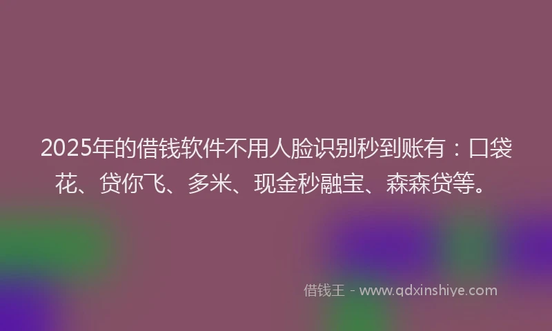 2025年的借钱软件不用人脸识别秒到账有：口袋花、贷你飞、多米、现金秒融宝、森森贷等。