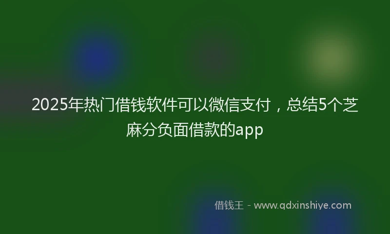 2025年热门借钱软件可以微信支付，总结5个芝麻分负面借款的app
