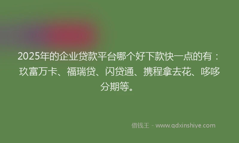 2025年的企业贷款平台哪个好下款快一点的有：玖富万卡、福瑞贷、闪贷通、携程拿去花、哆哆分期等。