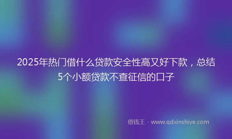 2025年热门借什么贷款安全性高又好下款，总结5个小额贷款不查征信的口子