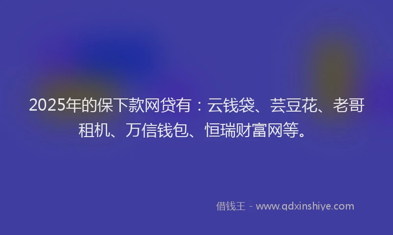 2025年的保下款网贷有：云钱袋、芸豆花、老哥租机、万信钱包、恒瑞财富网等。