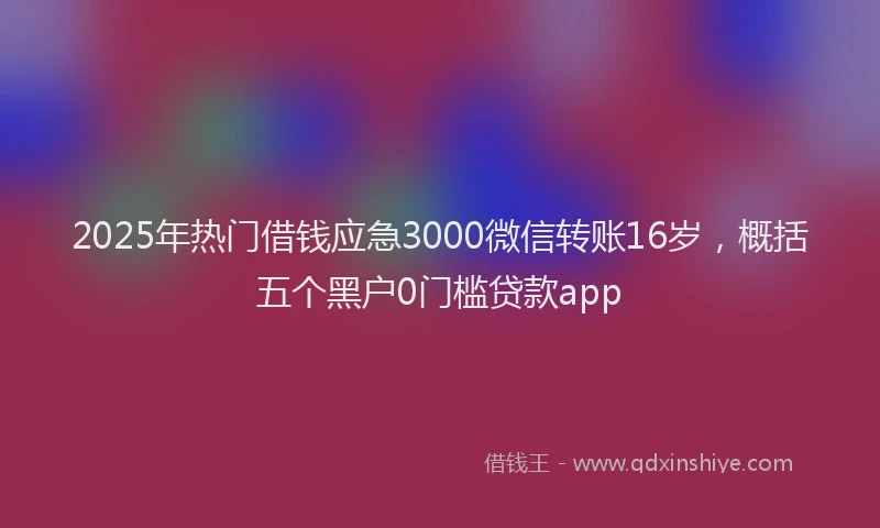 2025年热门借钱应急3000微信转账16岁，概括五个黑户0门槛贷款app
