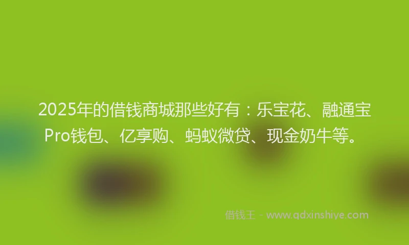 2025年的借钱商城那些好有：乐宝花、融通宝Pro钱包、亿享购、蚂蚁微贷、现金奶牛等。