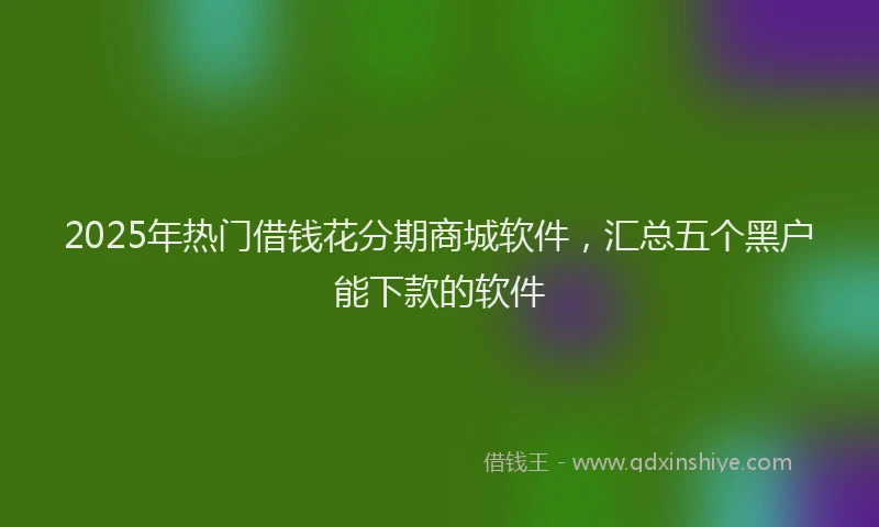 2025年热门借钱花分期商城软件，汇总五个黑户能下款的软件
