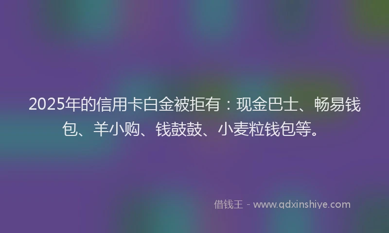 2025年的信用卡白金被拒有：现金巴士、畅易钱包、羊小购、钱鼓鼓、小麦粒钱包等。