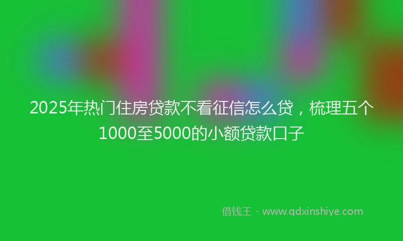 2025年热门住房贷款不看征信怎么贷，梳理五个1000至5000的小额贷款口子