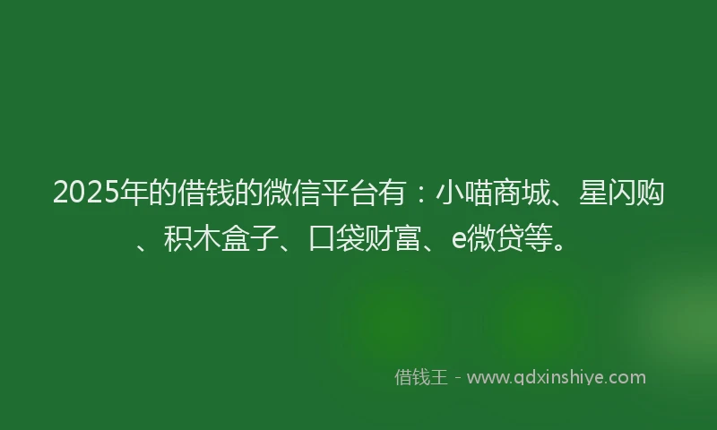 2025年的借钱的微信平台有：小喵商城、星闪购、积木盒子、口袋财富、e微贷等。