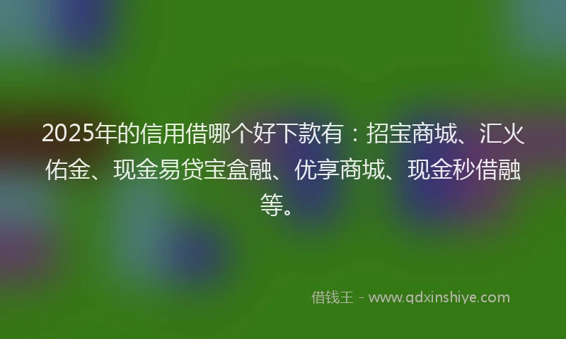 2025年的信用借哪个好下款有：招宝商城、汇火佑金、现金易贷宝盒融、优享商城、现金秒借融等。