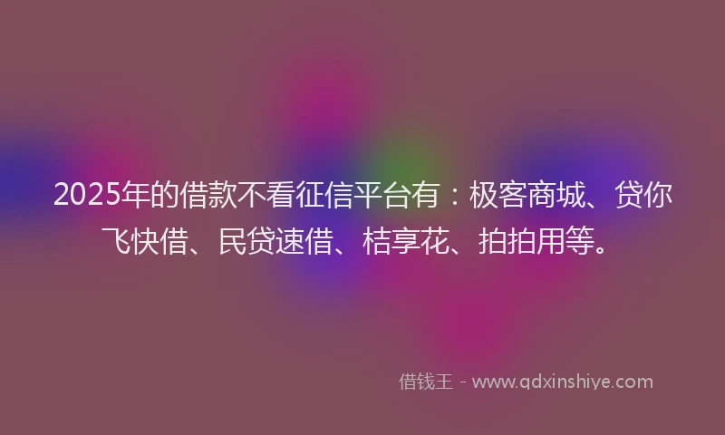 2025年的借款不看征信平台有：极客商城、贷你飞快借、民贷速借、桔享花、拍拍用等。