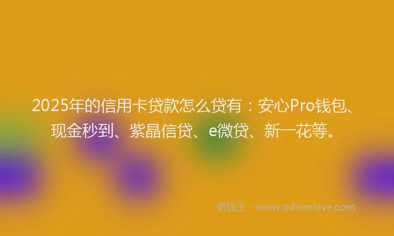 2025年的信用卡贷款怎么贷有：安心Pro钱包、现金秒到、紫晶信贷、e微贷、新一花等。