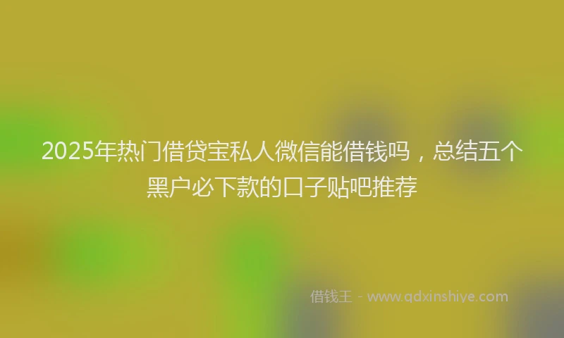 2025年热门借贷宝私人微信能借钱吗，总结五个黑户必下款的口子贴吧推荐