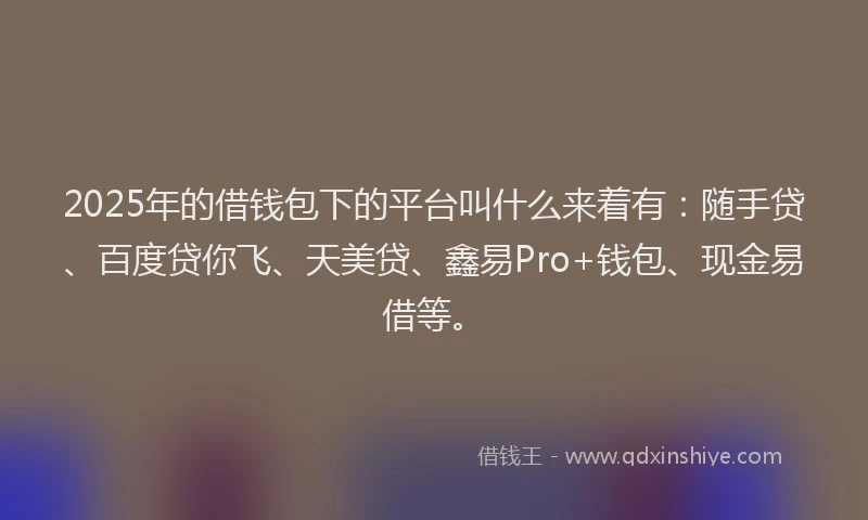 2025年的借钱包下的平台叫什么来着有：随手贷、百度贷你飞、天美贷、鑫易Pro+钱包、现金易借等。