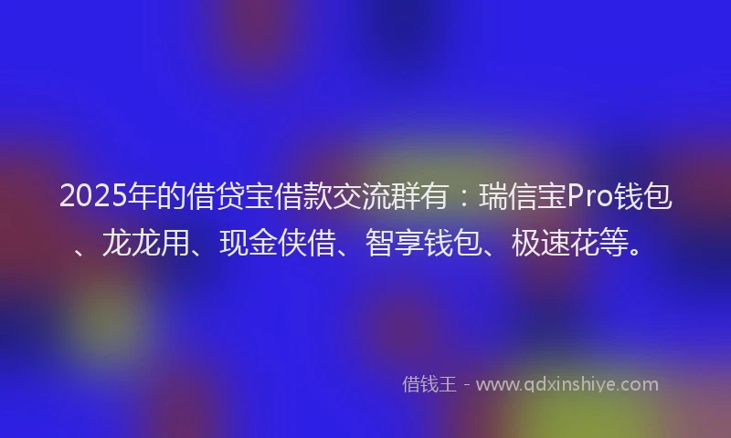 2025年的借贷宝借款交流群有：瑞信宝Pro钱包、龙龙用、现金侠借、智享钱包、极速花等。