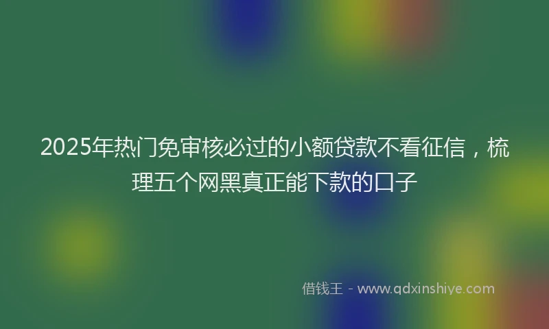 2025年热门免审核必过的小额贷款不看征信，梳理五个网黑真正能下款的口子