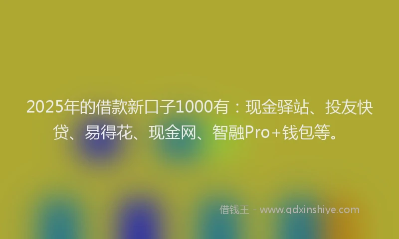 2025年的借款新口子1000有：现金驿站、投友快贷、易得花、现金网、智融Pro+钱包等。