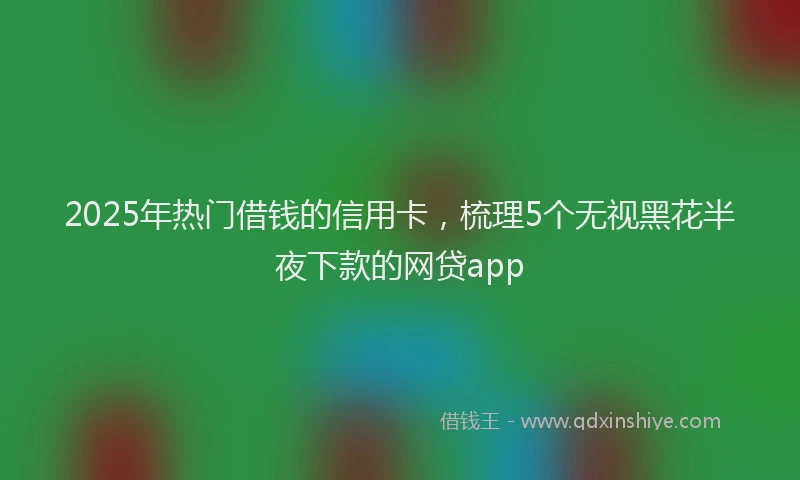 2025年热门借钱的信用卡，梳理5个无视黑花半夜下款的网贷app